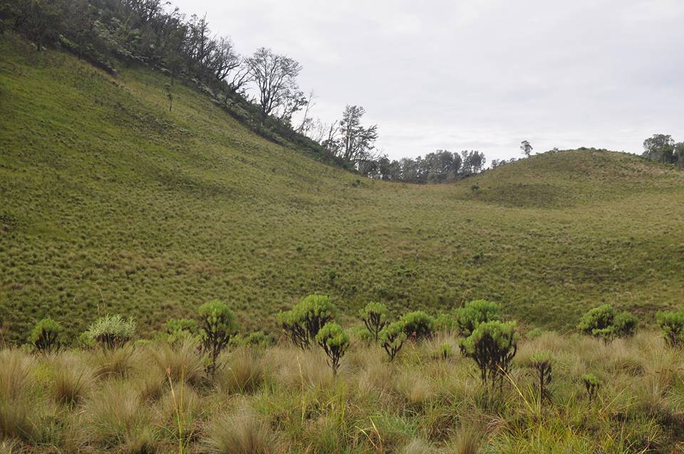 Hiking Gunung Buthak